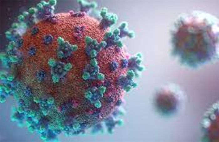 El profesor de Epidemiología de la Escuela de Salud de Yale, opina que el coronavirus fue creado por EE.UU. como arma biológica